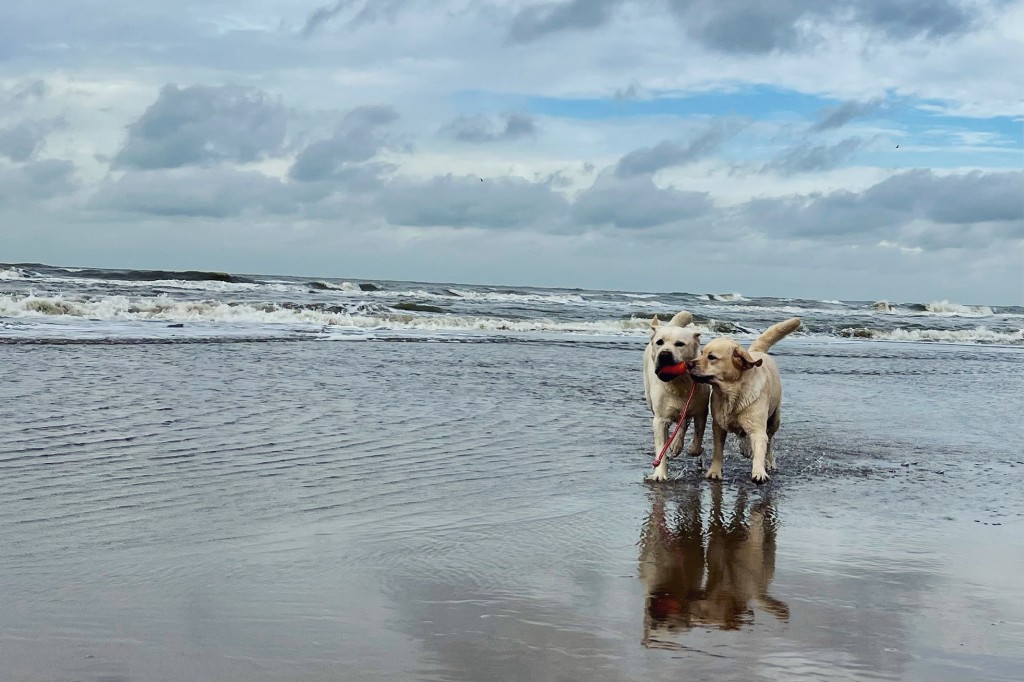 D052AF6D-97C4-4FEB-BBFD-216F1B7F61DA