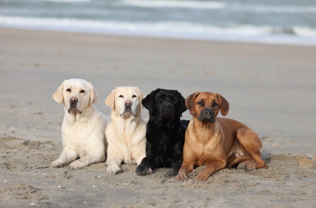 17bf8f85-a5c6-4eda-8754-6c02499f4476