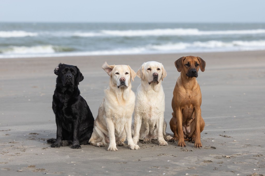 1d583697-8165-4d41-9f4d-19e1d32ff31d