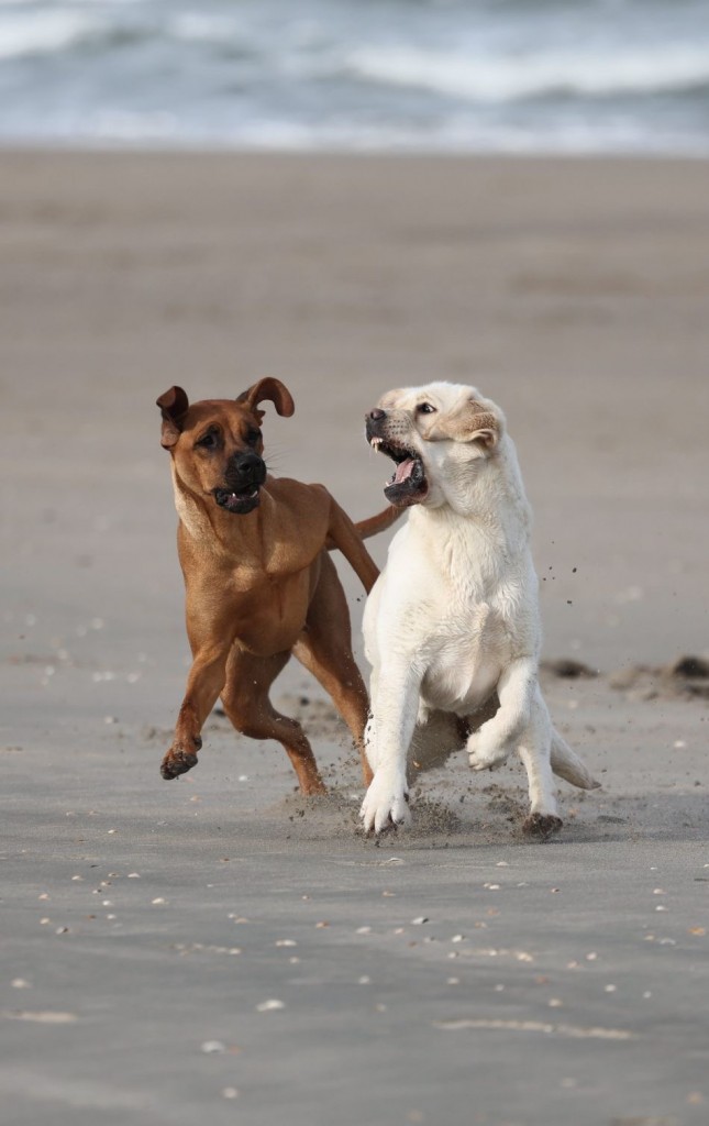 3ecbcde7-05e9-414d-a5fb-64d98f8ef0de