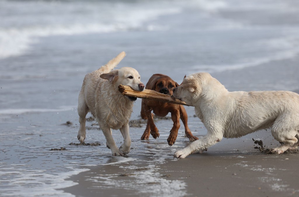 497ed5ea-53ae-4b3d-928f-62c0766c066a