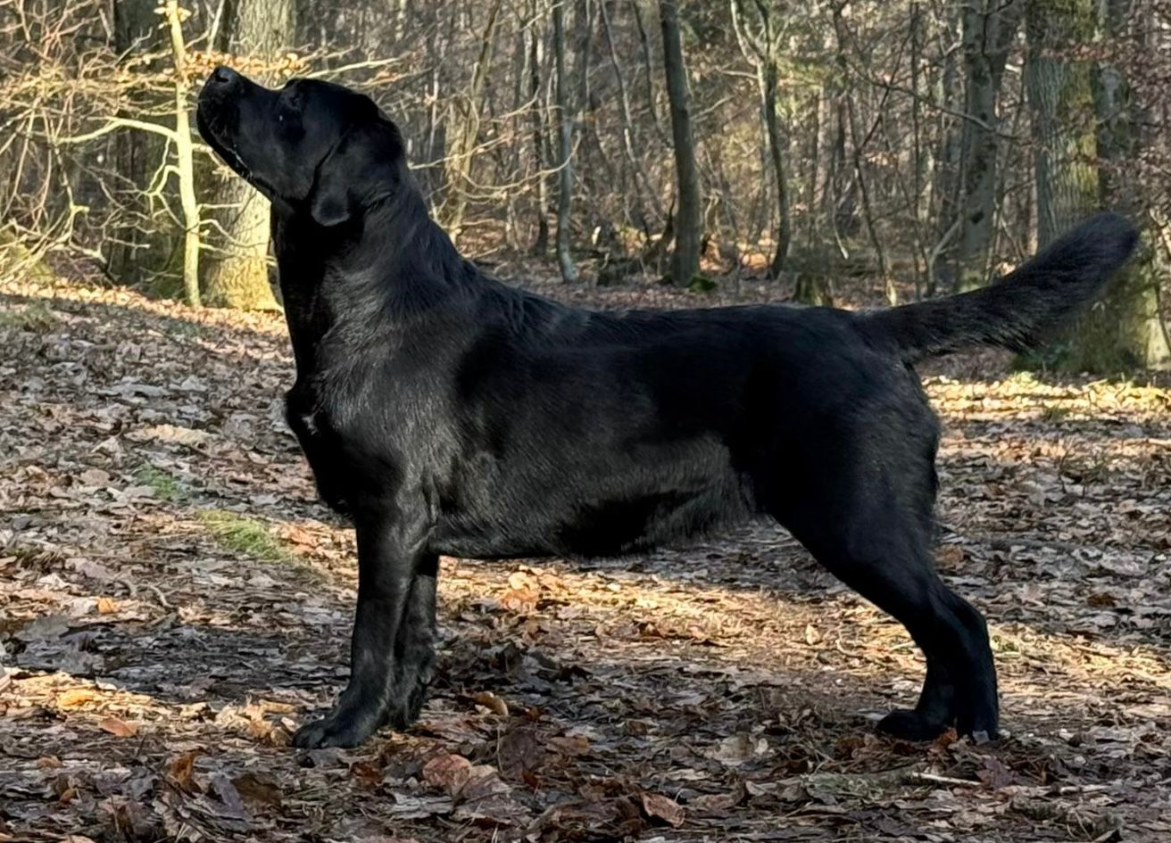 PHOTO-2025-02-02-17-11-49