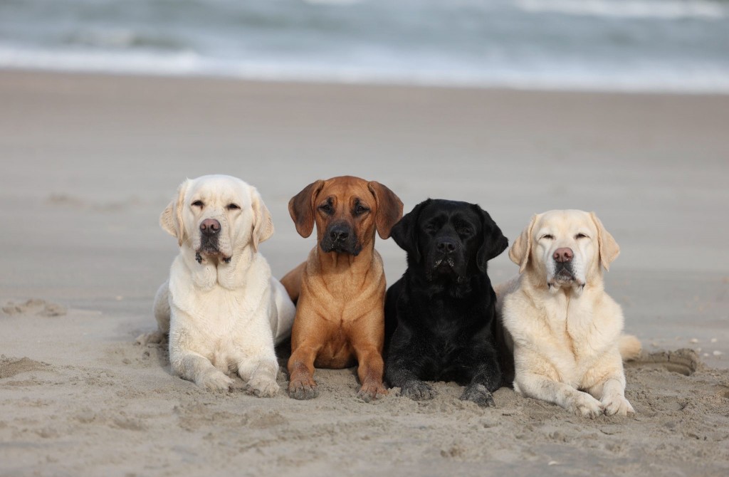 a8ccd471-1f7e-4350-9543-0d150b13209a