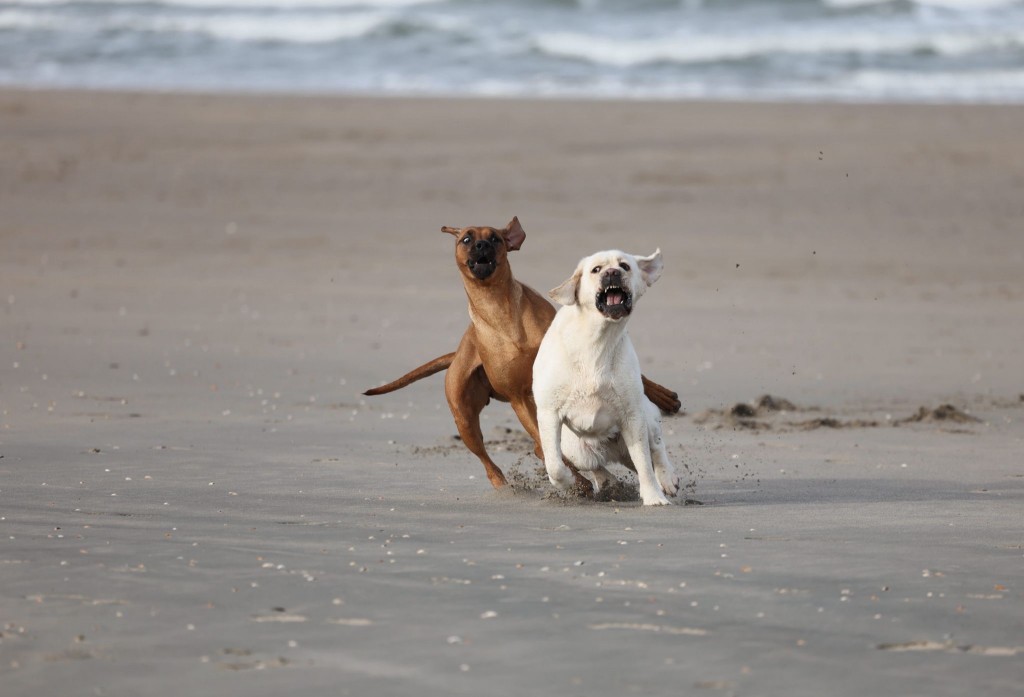 d13df9ff-51e1-467a-86a9-26f996cd84c0