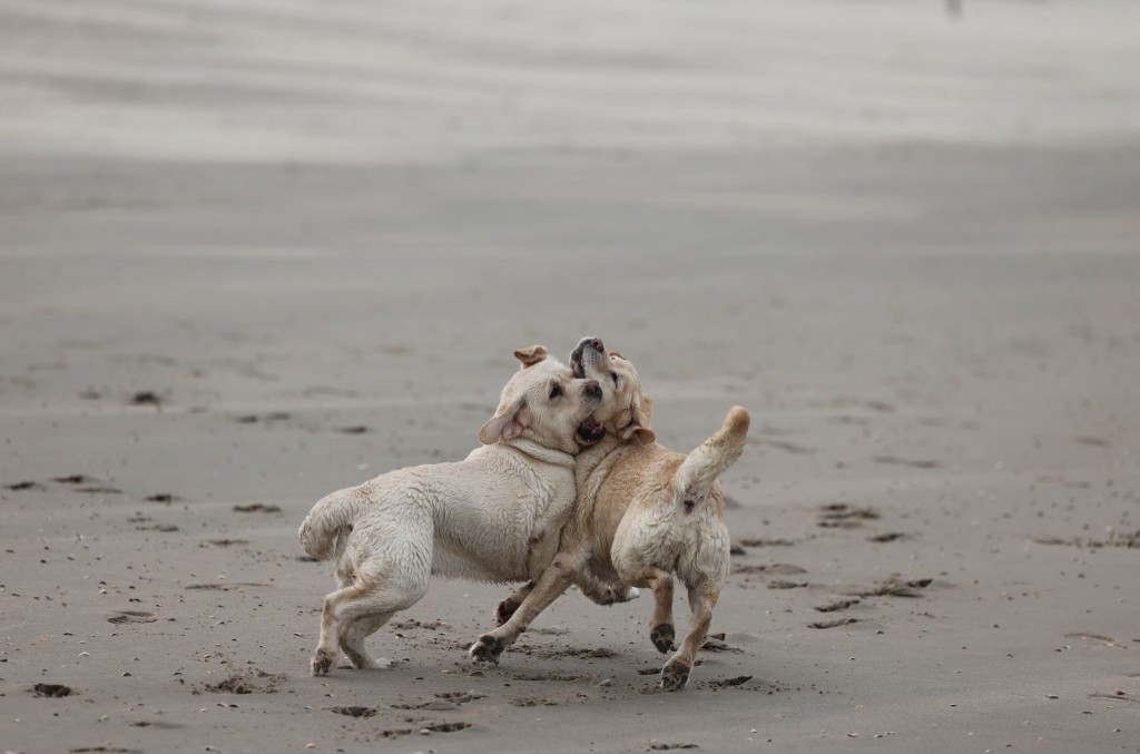 d430859a-a8ac-476e-a675-b400e2590d18