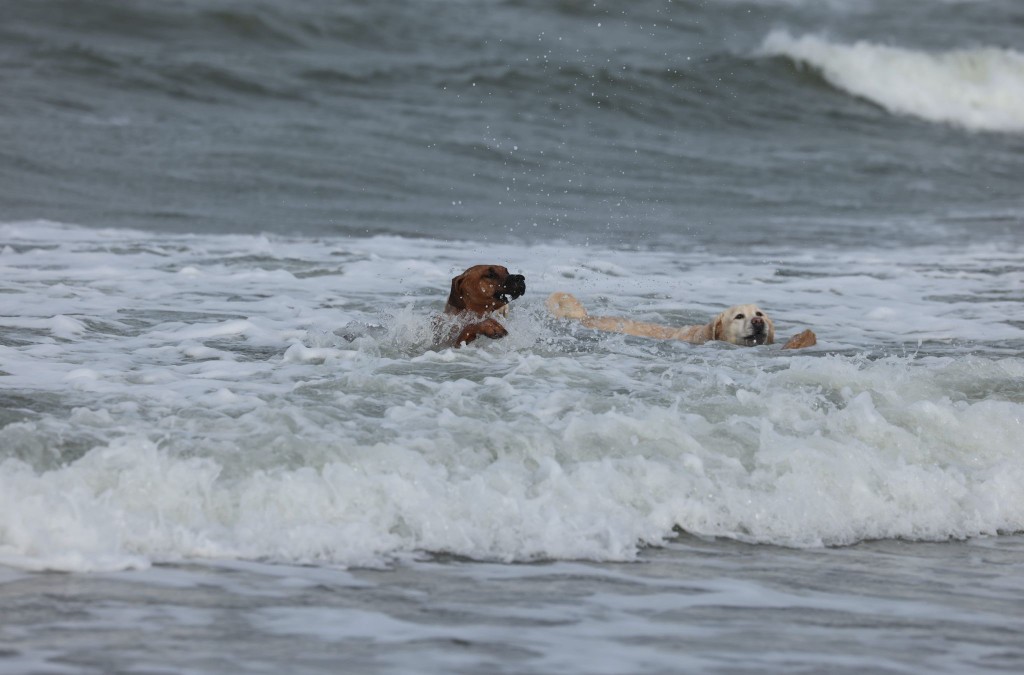 e33300f9-b7ee-4d2c-875e-511dbea6d1db