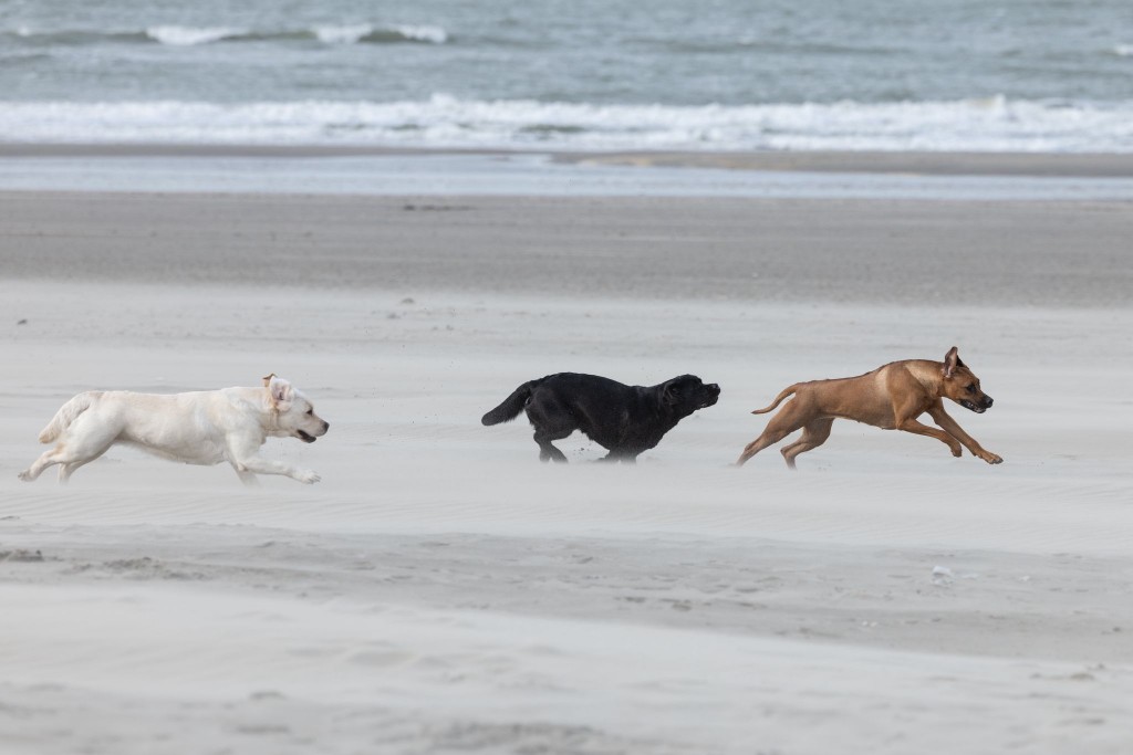 fb347c7a-b615-4177-b692-2adf6889ddaf