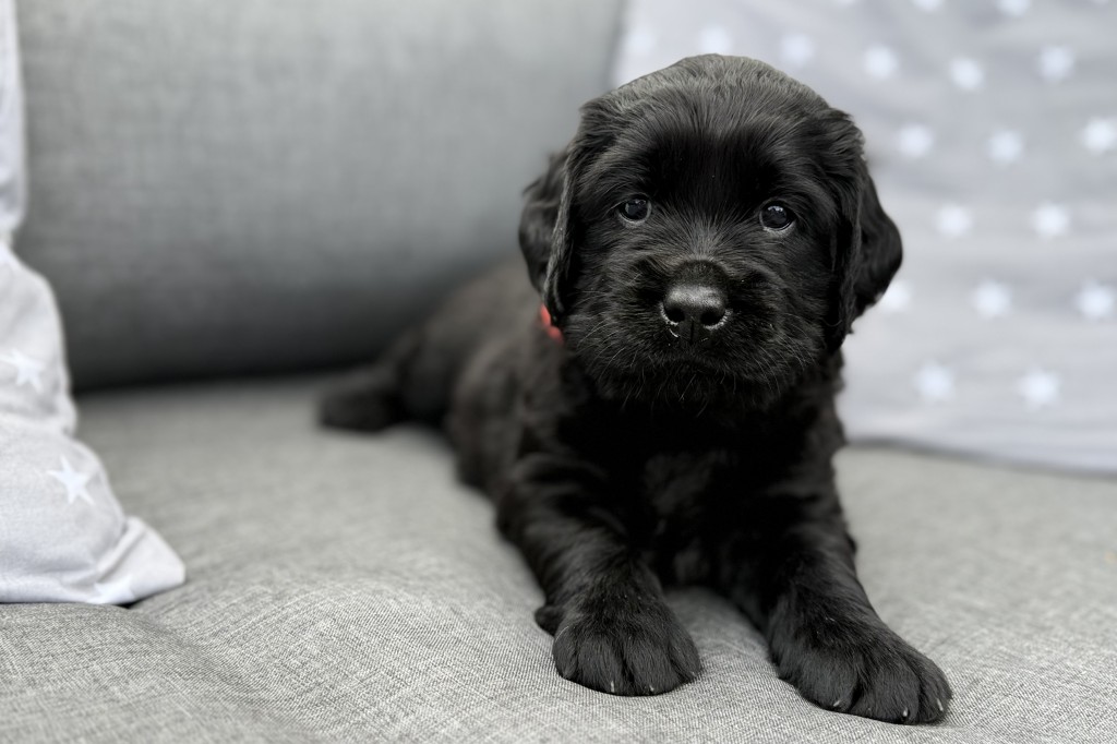 IMG_8682